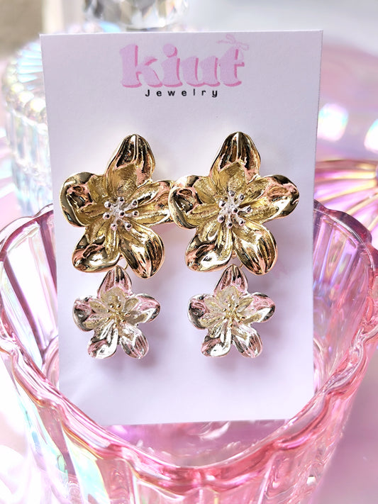 Aretes Eliza